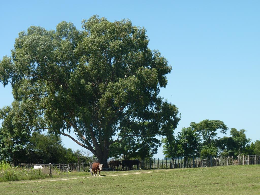 Estancia Hosteria El Ceibo Florida Bagian luar foto